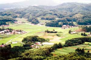 低コスト化水田農業大区画ほ場整備事業工事
